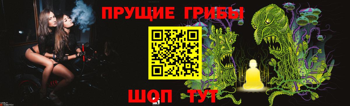 Серов  Галлюциногенные грибы прущие грибы  Вход с VPN 